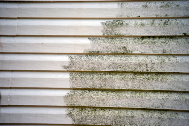 Best Storm Damage Siding Repair  in New Albany, OH